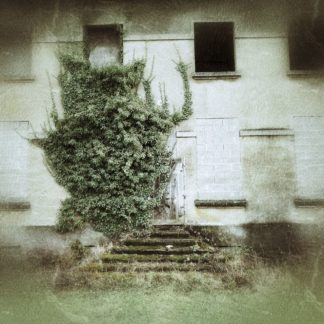 Ein verlassenes Haus. Eine verwachsene Treppe mit ein paar herrschaftlich anmutenden Stufen führt zu einer von mutmaßlich Efeu umrankten Eingangstür