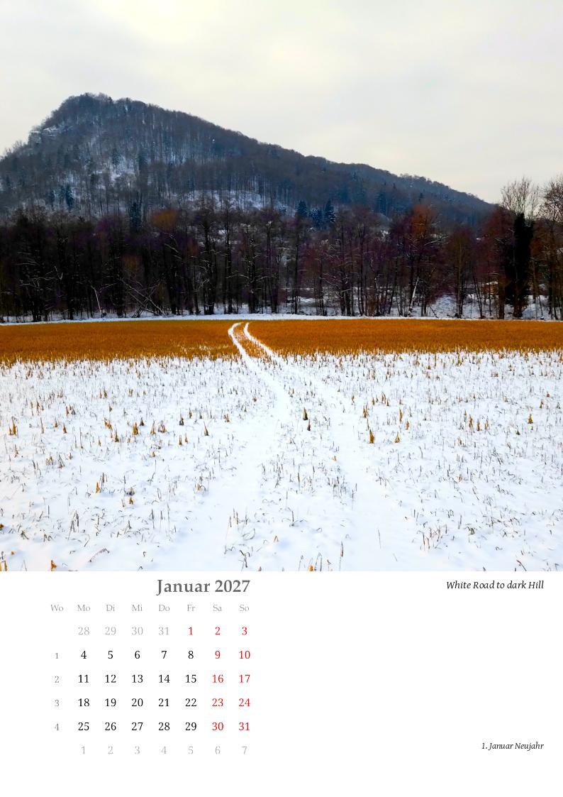 Ein gelbbrauner Stoppelacker, auf dem ein wenig Schnee liegt, dessen Weiß durch eine Traktorspur gelenkt und akzentuiert wird. Kontrastreich erhebt sich ein waldiger Hügel im Hintergrund.
