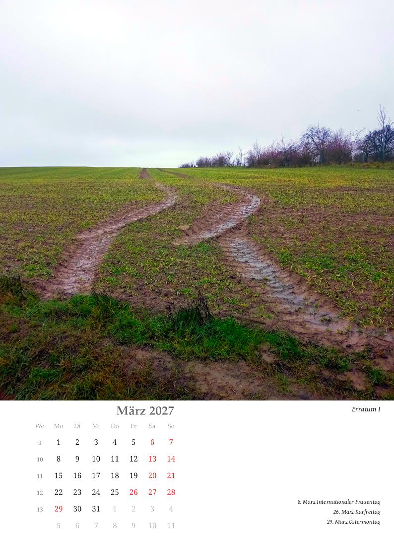 Ein glänzend wirkendes, nasses Feld mit einer abbrechenden Traktorspur.