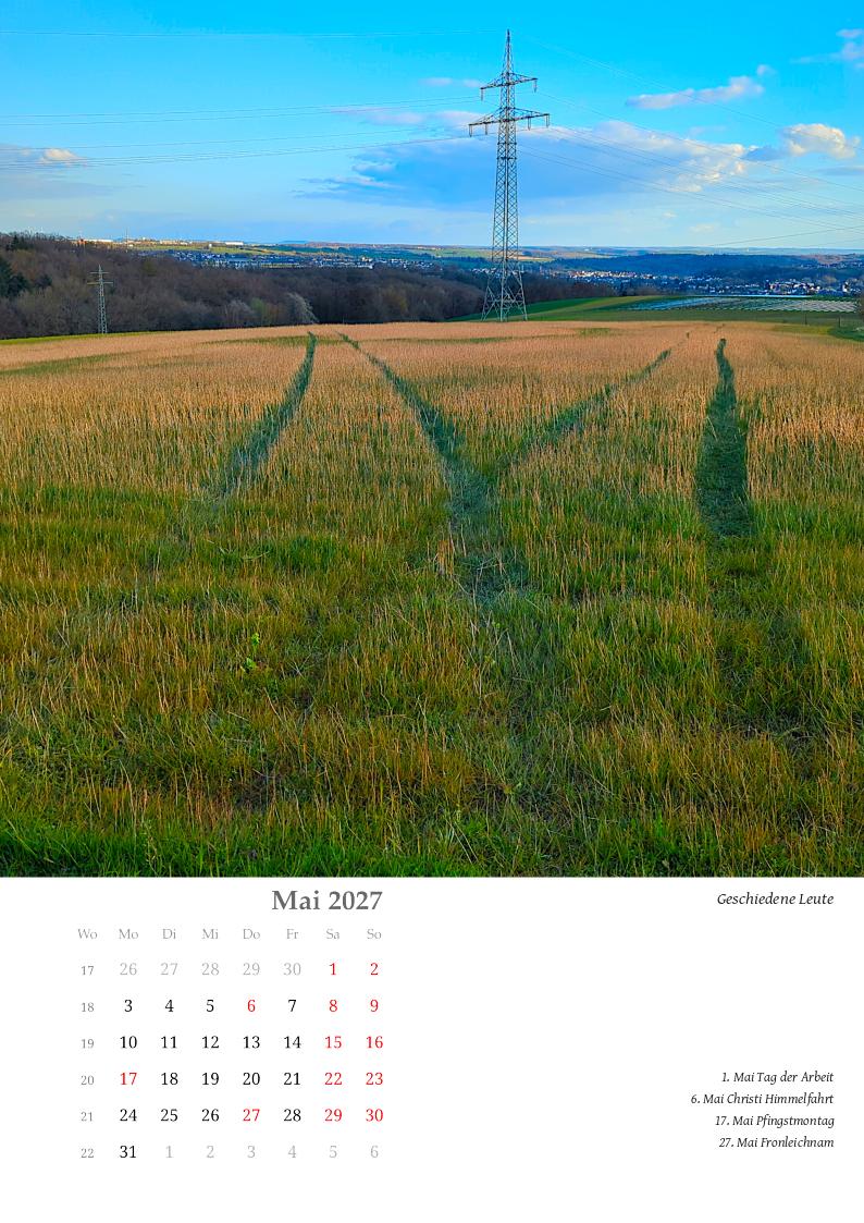 Zwei Fahrspuren in halbhoher Wiese laufen schräg auseinander. Dazwischen steht ein Strommast.