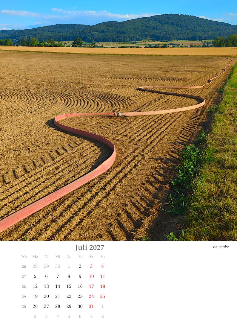 Wie eine Schlangenlinie zieht sich ein rosafarbener Bewässerungsschlauch rechts von einem frisch geegten Feld gen Horizont. Im Hintergrund sanfte bewaldete Hügel. Im Feld Fahrspuren.